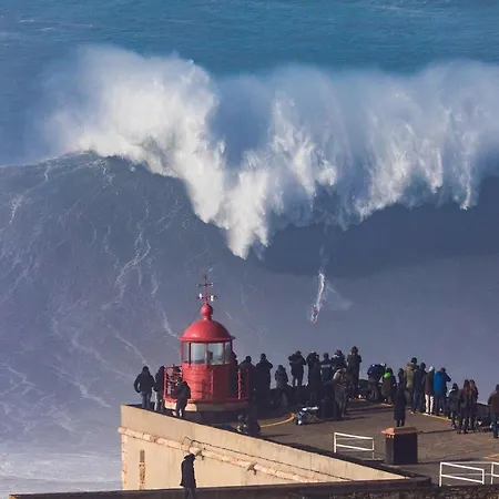 Albergue Wood Steel & Glass *